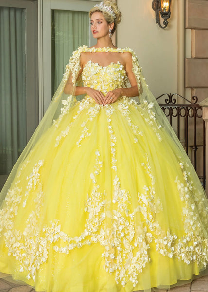 Quinceañera dress