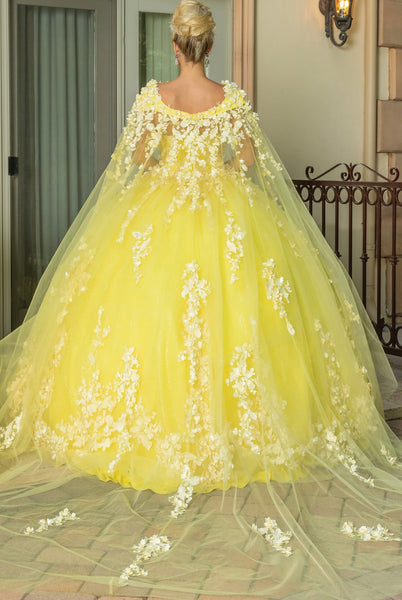 Quinceañera dress