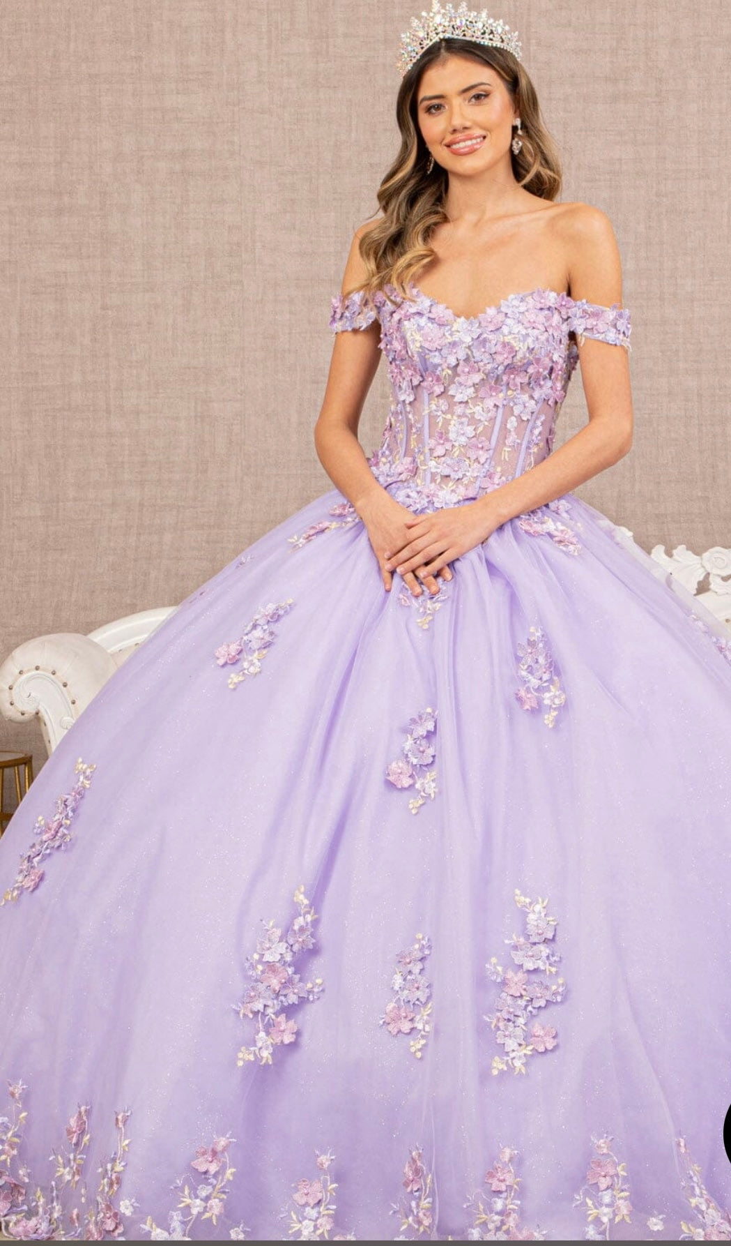 Quinceañera/ sweet fifteen Dress Style TM1456