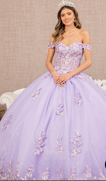 Quinceañera/ sweet fifteen Dress Style TM1456